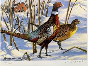 lot 31 image: 1993 Minnesota Pheasant Habitat Stamp Art Print by Bruce Miller, Signed and Numbered