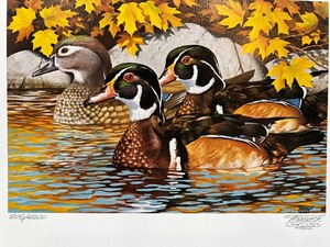 lot 33 image: 1984 Tom Gross Signed Wood Ducks Art Print 8264200 with COA
