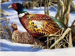 lot 34 image: 2005 Minnesota Pheasant Habitat Stamp Print by David Chapman, Signed and Numbered