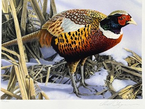 lot 35 image: 2010 Minnesota Pheasant Habitat Stamp Print by David Chapman Signed Limited Edition