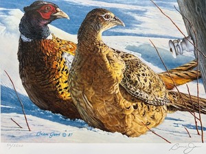 lot 38 image: 1987 Minnesota Pheasant Habitat Stamp Print by Brian Jarvi with Stamp, Limited Edition