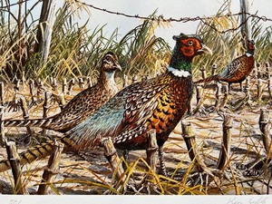 lot 40 image: Ken Zylla Signed Print A Legacy In Season Limited Edition with 5 Matching 1982 Pheasant Stamps