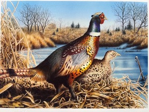 lot 41 image: 1992 Minnesota Pheasant Habitat Stamp Print by David Chapman with COA and Stamp