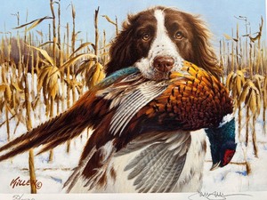 lot 42 image: 1997 Minnesota Pheasant Habitat Stamp Print by Jim Killen Signed Limited Edition with Stamp
