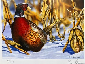lot 43 image: 1998 Minnesota Pheasant Habitat Stamp Print by Kevin Nelson, Signed Limited Edition 542500