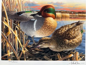 lot 46 image: 1999 Minnesota Duck Stamp Print Green-winged Teal by John House Signed and Numbered 8262000