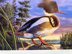 lot 47 image: Red-Breasted Merganser 2000 Minnesota Duck Stamp and Print by Kim Norlien