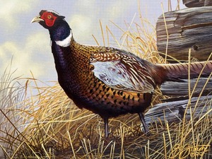 lot 48 image: 2000 Minnesota Pheasant Habitat Stamp & Print by Scot Storm, Signed Limited Edition