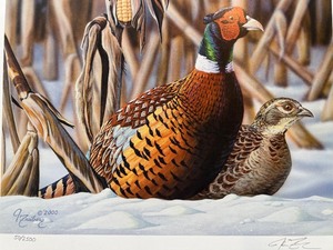 lot 50 image: 2001 Minnesota Pheasant Habitat Stamp & Print by John Freiberg, Signed Limited Edition