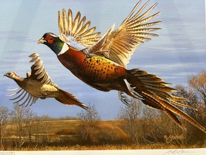 lot 51 image: 2011 Minnesota Pheasant Habitat Stamp Print by Scot Storm, Limited Edition 502500