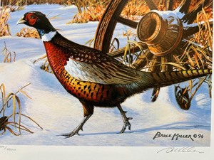 lot 53 image: 1996 Minnesota Pheasant Habitat Stamp Print by Bruce Miller with Stamp, Signed and Numbered