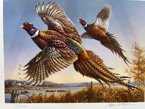 lot 54 image: Signed 1986 Minnesota Pheasant Habitat Stamp Print by Les Kouba, Limited Edition 503700