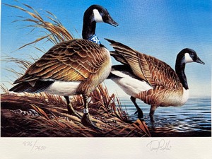 lot 55 image: 1981 Minnesota Duck Stamp Limited Edition Print by Terry Redlin, Signed and Numbered with Stamp