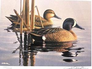 lot 56 image: 1993 Minnesota Duck Stamp Print Blue-Winged Teal by Phil Scholer Signed Limited Edition