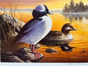 lot 57 image: Robert Hautman Signed 1988 Minnesota Duck Stamp Print with Stamp - Buffleheads