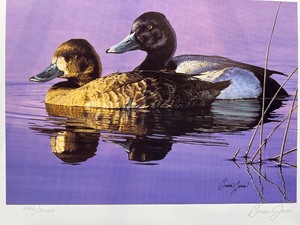 lot 58 image: 1986 Brian Jarvi Signed Limited Edition Print Lesser Scaup Ducks with Matching Stamp