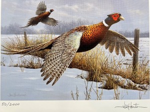 lot 61 image: 2007 Minnesota Pheasant Stamp Print by Joe Hautman, Signed and Numbered 502000
