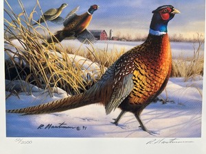 lot 62 image: 1995 Minnesota Pheasant Habitat Stamp Print by Robert Hautman 502500 with Stamp