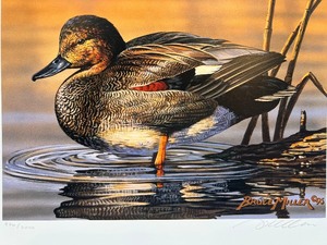 lot 63 image: 1995 Minnesota Migratory Waterfowl Stamp Print by Bruce Miller Signed and Numbered with Stamp