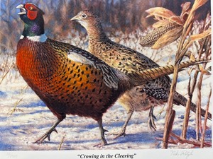 lot 64 image: Limited Edition Print Crowing in the Clearing by Nick Reitzel, 502500 with Certificate