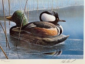 lot 65 image: 1990 Minnesota Duck Stamp Print Hooded Merganser by Kevin T. Daniel Signed Limited Edition