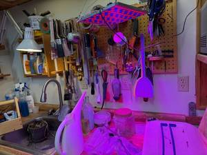 lot 295 image: Workshop Tool and Gardening Supply Lot with Pegboard Organizer