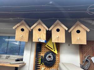 lot 233 image: Set of 4 Wooden Birdhouses for Outdoor Use