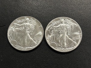 lot 7 image: 1987 & 1988 Silver Eagles