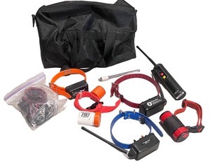 lot 142 image: Set of Dog Training Collars with Remote Transmitters and Accessories