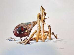 lot 24 image: Old Lucky Limited Edition Signed Print by Chris B. Christianson 250500