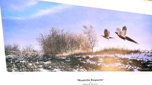 lot 26 image: Woodville Ringnecks Limited Edition Print by Richard W. Plasschaert