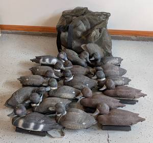 lot 101 image: Large Variety of Duck Hunting Decoys