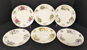 lot 119 image: Partial Royal Grafton Flower of the Month Plates