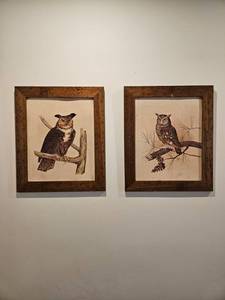 lot 6 image: Set of 2 Vintage Owl Prints