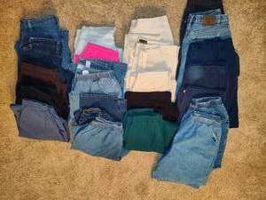 lot 190 image: Ladies Pants & Shorts (Sizes 14-16)