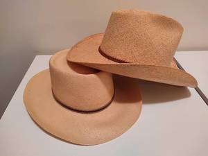 lot 203 image: Two Stetson Cowboy Hats
