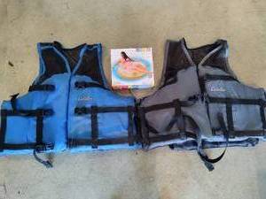 lot 230 image: Life Jackets & Pool Floatie