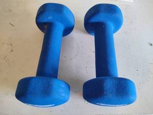 lot 259 image: Pair of 5lb Weights