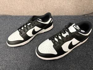 NIke Dunk Lows - Mens 8.5 Womens 10