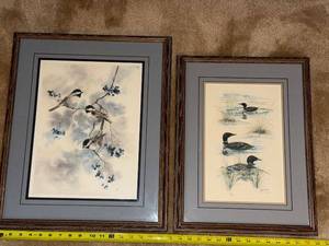lot 112 image: Set of 2 Framed Jean Haefele Signed and Numbered Limited Edition Bird Prints