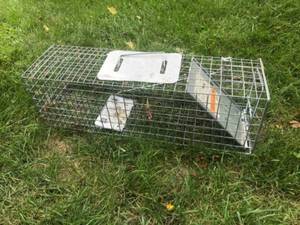 lot 194 image: Metal Live Animal Trap Cage with Spring-Loaded Door