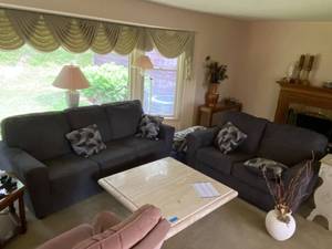 lot 177 image: Gray Upholstered Sofa and Loveseat Set with Throw Pillows - Wear