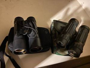 lot 390 image: Pair of Compact Binoculars with Cases - Bushnell Ensign & CAL Optical