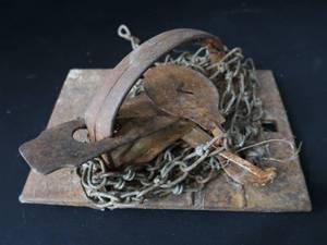 lot 19 image: JUMP TRAP WITH TEETH