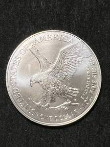 2024 AMERICAN SILVER EAGLE 1 TROY OZ .999 FINE SILVER