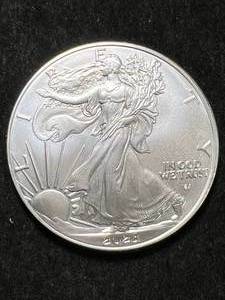lot 30 image: 2023 AMERICAN SILVER EAGLE 1 TROY OZ .999 FINE SILVER