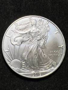 lot 59 image: 2019 AMERICAN SILVER EAGLE 1 TROY OZ .999 FINE SILVER