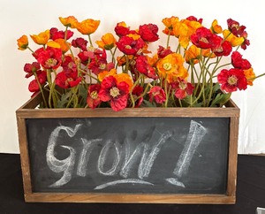 lot 50 image: Decorative Planter Box Style Decor