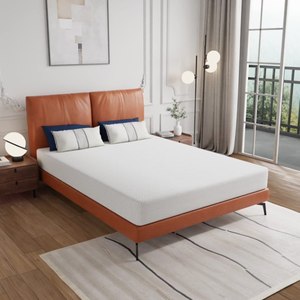 lot 12 image: Queen Size PayLessHere 8 Inch Memory Foam Mattress