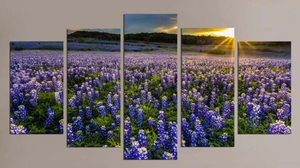lot 346 image: Bluebonnet Field Large Wall Art